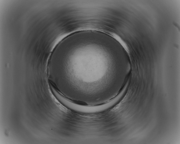 X0000091461388200708231307