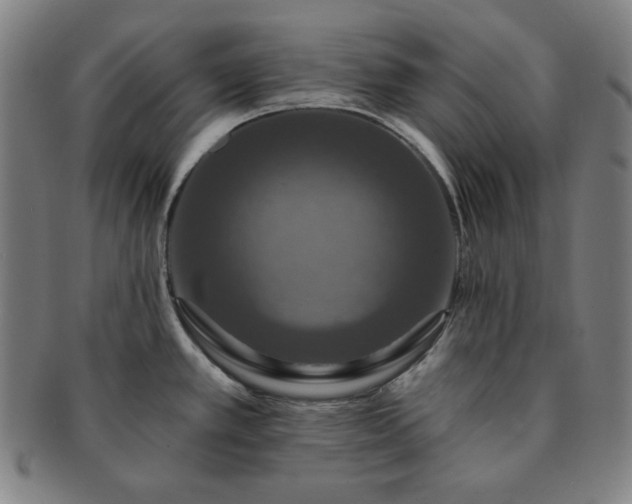 X0000091461389200708231307