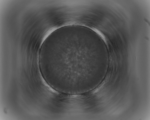 X0000091461390200708231307