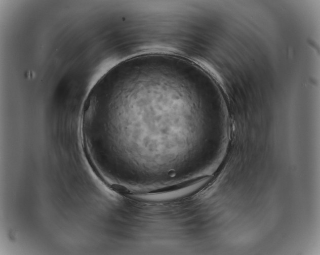 X0000091461391200708231307