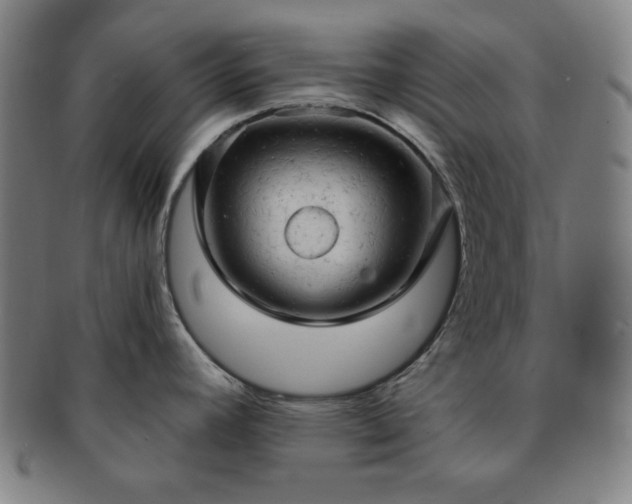 X0000091461392200708231307