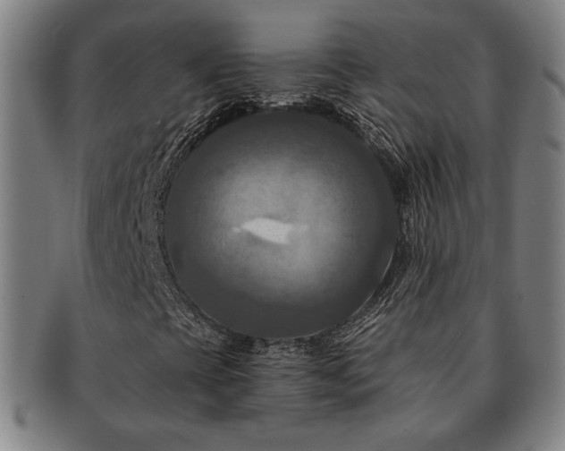 X0000091461393200708231306