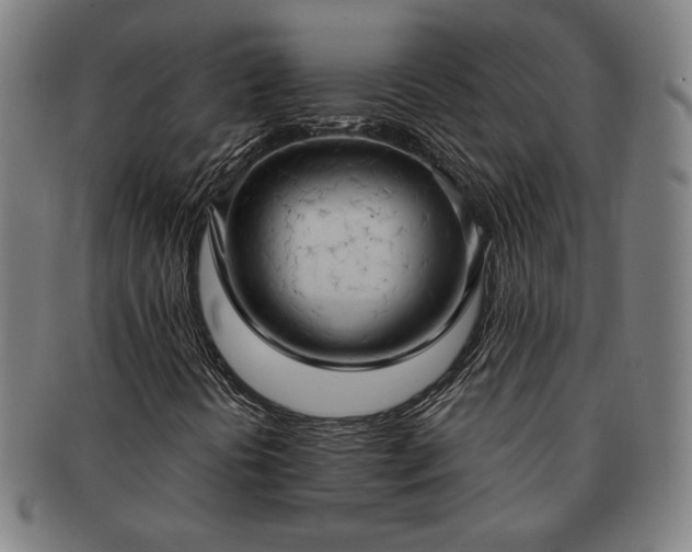 X0000091461394200708231306