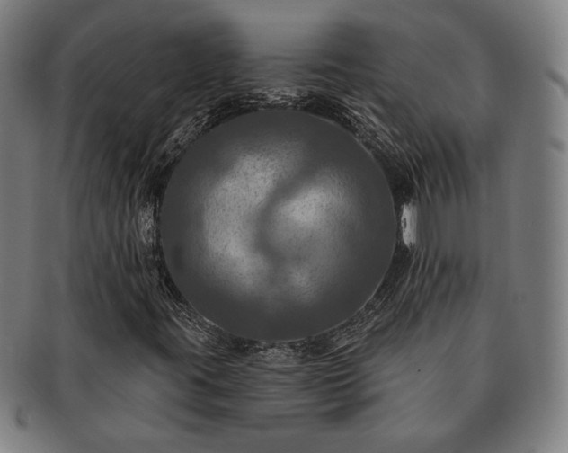 X0000091461395200708231306