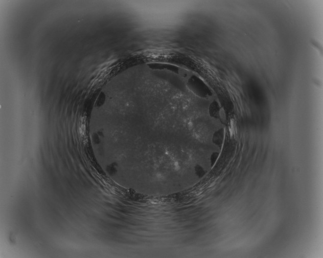 X0000091461396200708231306