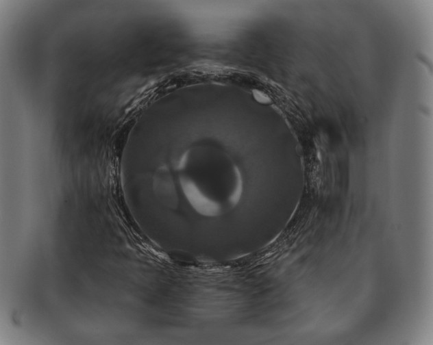 X0000091461397200708231306