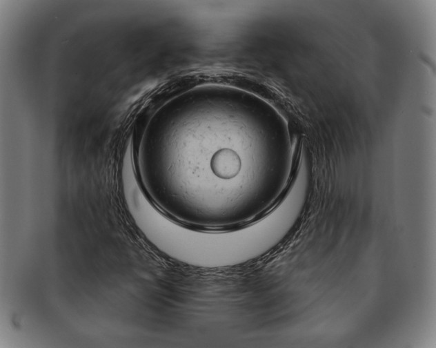 X0000091461398200708231306