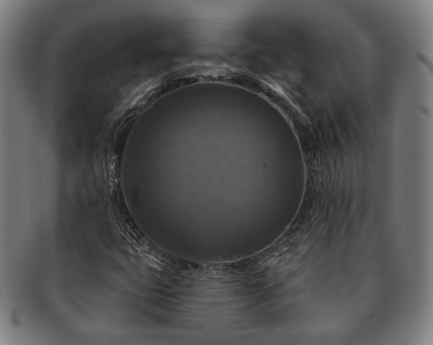X0000091461399200708231306
