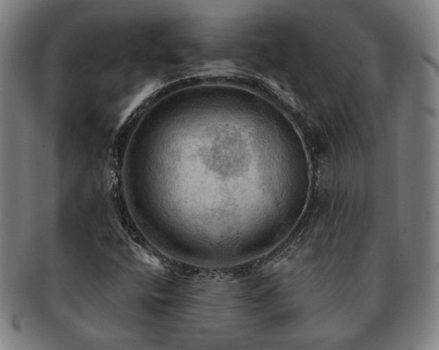 X0000091461400200708231307