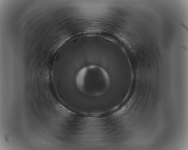 X0000091461401200708231307