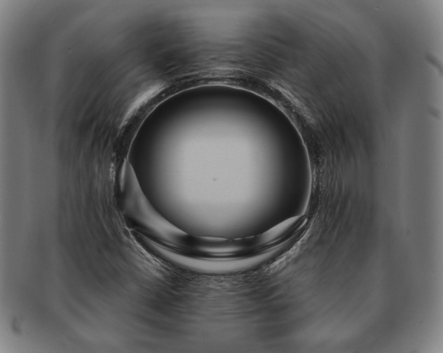 X0000091461402200708231307