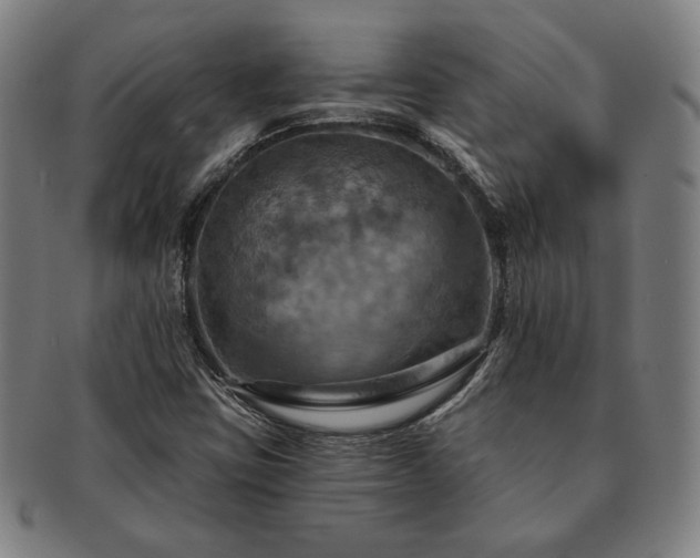 X0000091461403200708231307