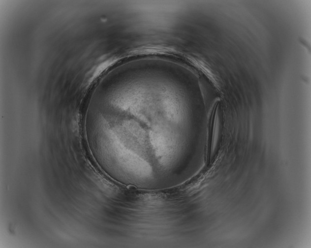X0000091461404200708231307