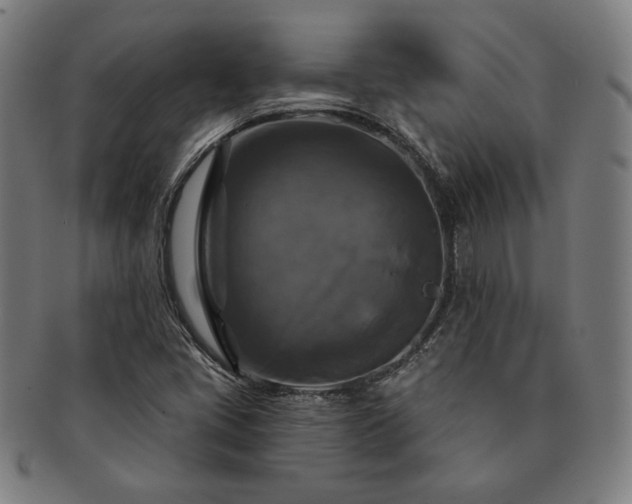 X0000091461405200708231307