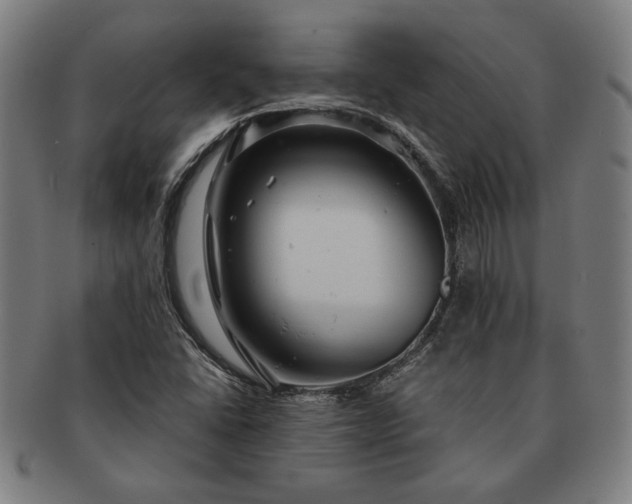 X0000091461406200708231307