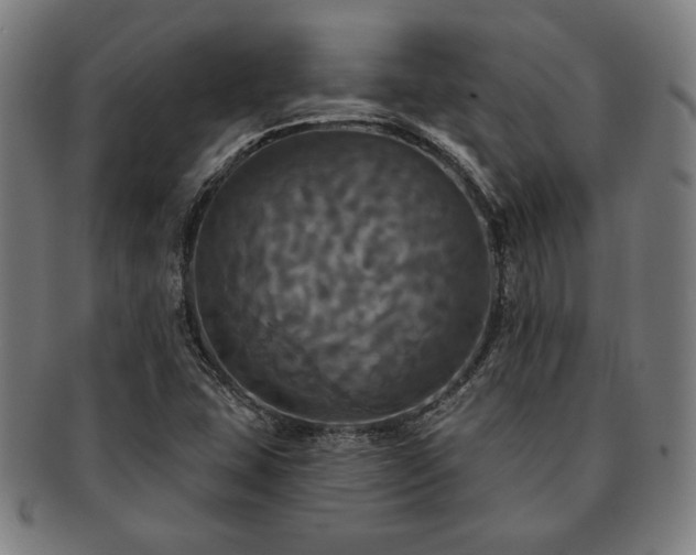 X0000091461407200708231307