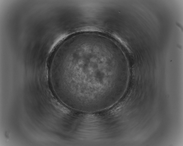 X0000091461408200708231307