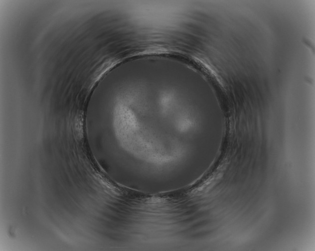 X0000091461409200708231307
