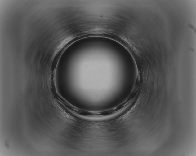 X0000091461410200708231307
