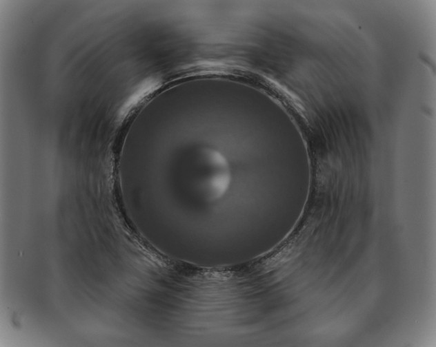 X0000091461411200708231307