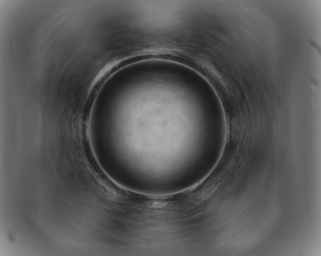 X0000091461412200708231307