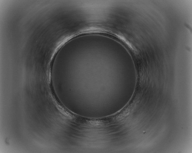 X0000091461413200708231307