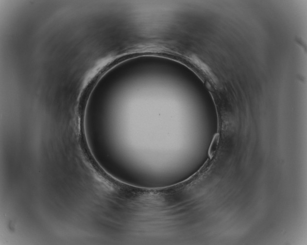 X0000091461414200708231307