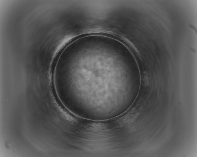 X0000091461416200708231307