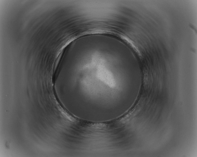 X0000091461417200708231307