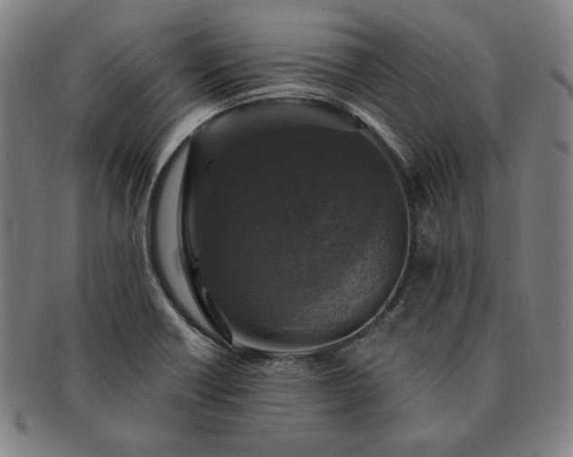 X0000091461418200708231307