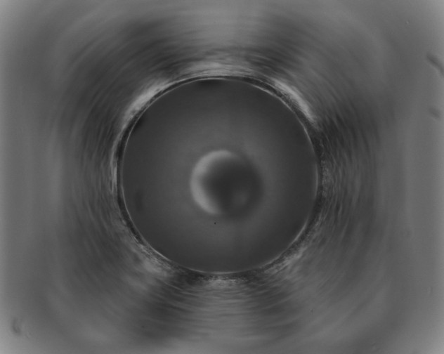 X0000091461419200708231307
