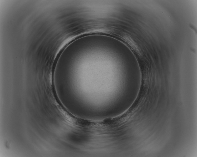 X0000091461420200708231307