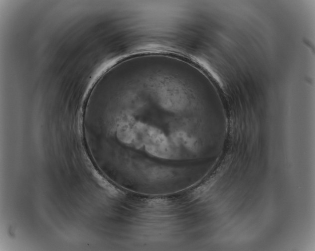 X0000091461421200708231307