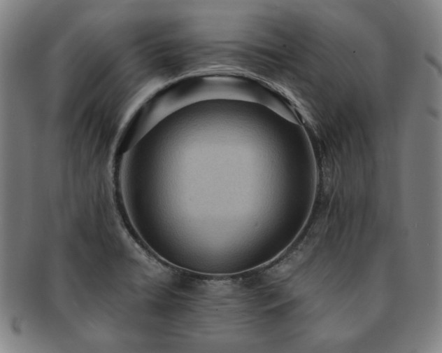 X0000091461422200708231307