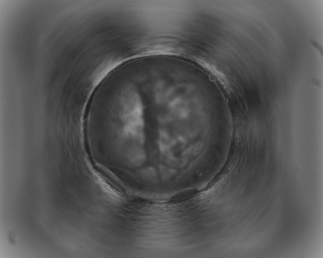 X0000091461423200708231307
