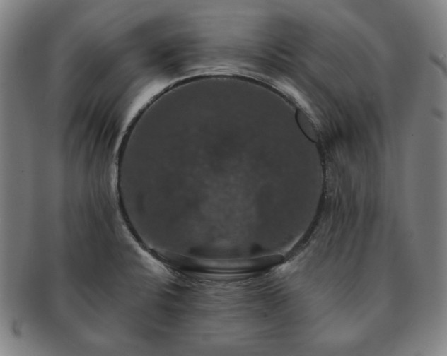 X0000091461424200708231307