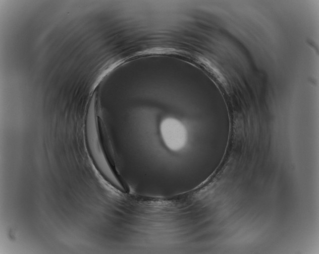 X0000091461425200708231307