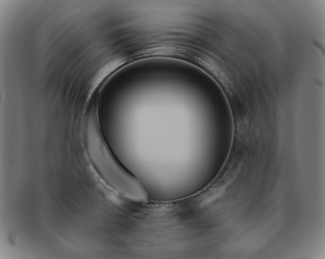 X0000091461426200708231307