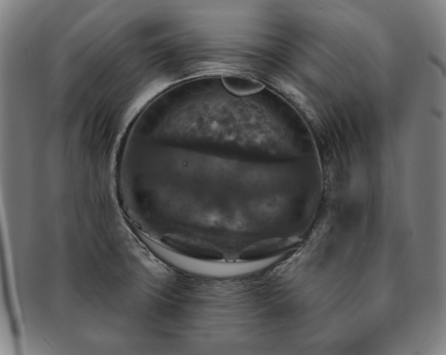 X0000091461427200708231307