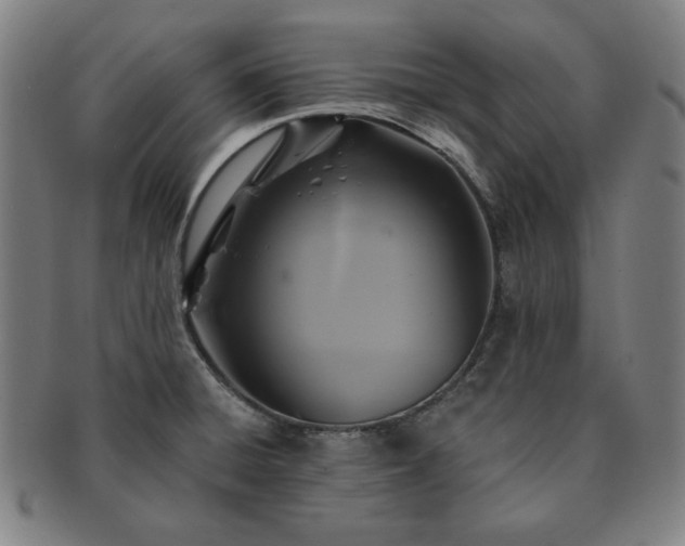 X0000091461428200708231307