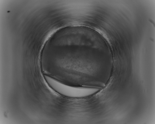X0000091461429200708231307