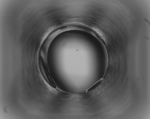 X0000091461430200708231307