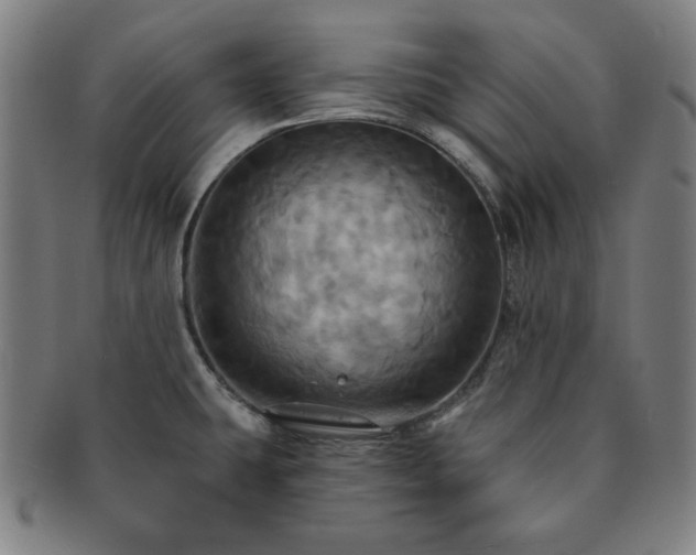 X0000091461431200708231307