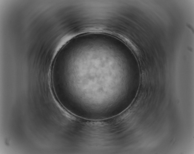 X0000091461432200708231307
