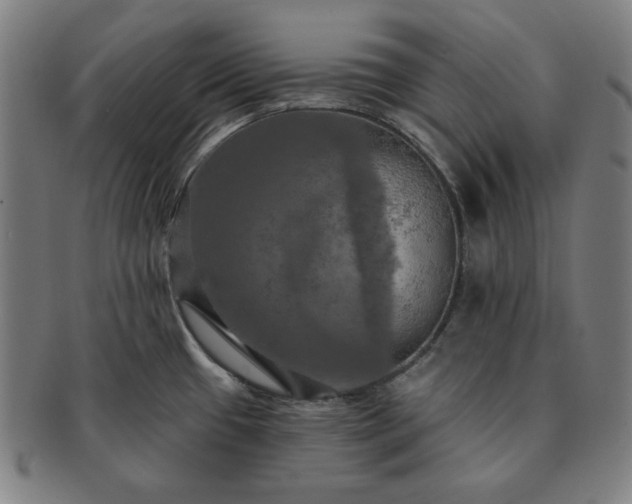 X0000091461433200708231307