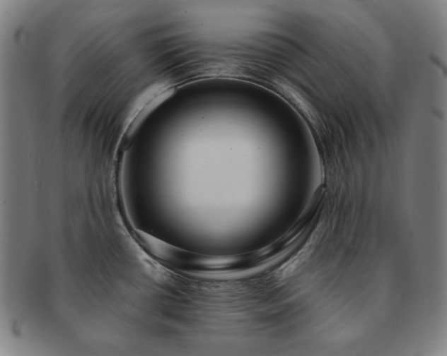 X0000091461434200708231307