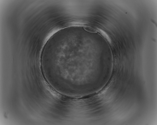 X0000091461435200708231307