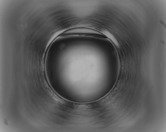 X0000091461436200708231307