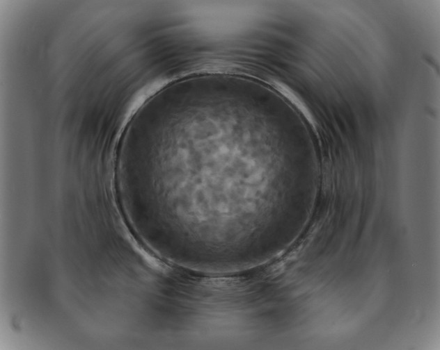 X0000091461437200708231307
