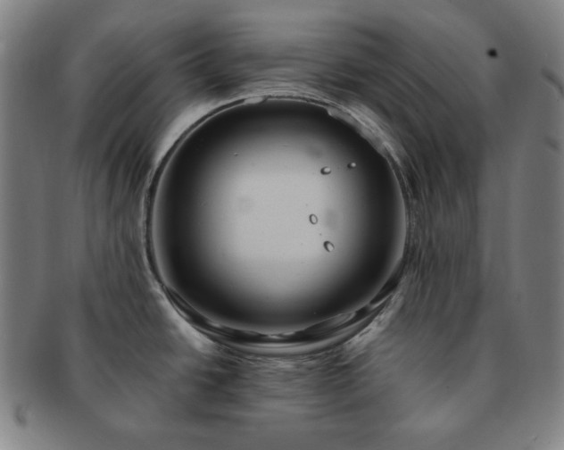 X0000091461438200708231307